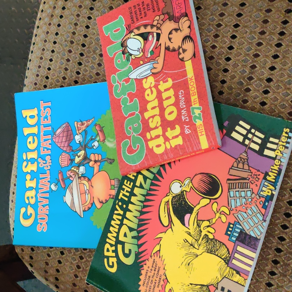 2 Garfield and 1 Grimmzilla book
